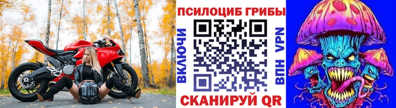 Галлюциногенные грибы Cubensis  как найти закладки  mega зеркало  Спас-Клепики 